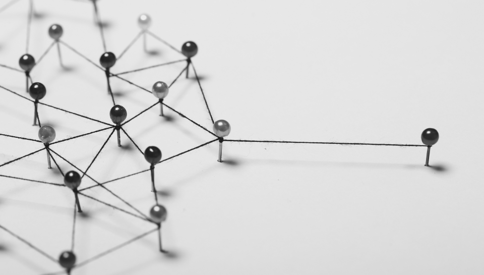 Intricate network of pins and thread representing legal connections or contracts.