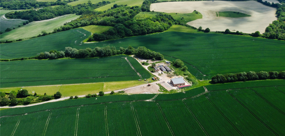 Lush green Queensland farmland with property, construction, and civil dispute legal services.
