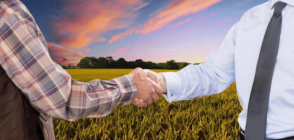 Farmers and legal professional shaking hands in a wheat field at sunset, representing property law and client partnerships in Toowoomba, Queensland.