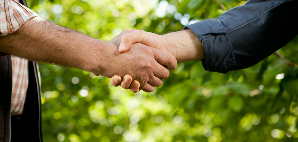 Close-up of two people shaking hands outdoors for legal collaboration or agreement.
