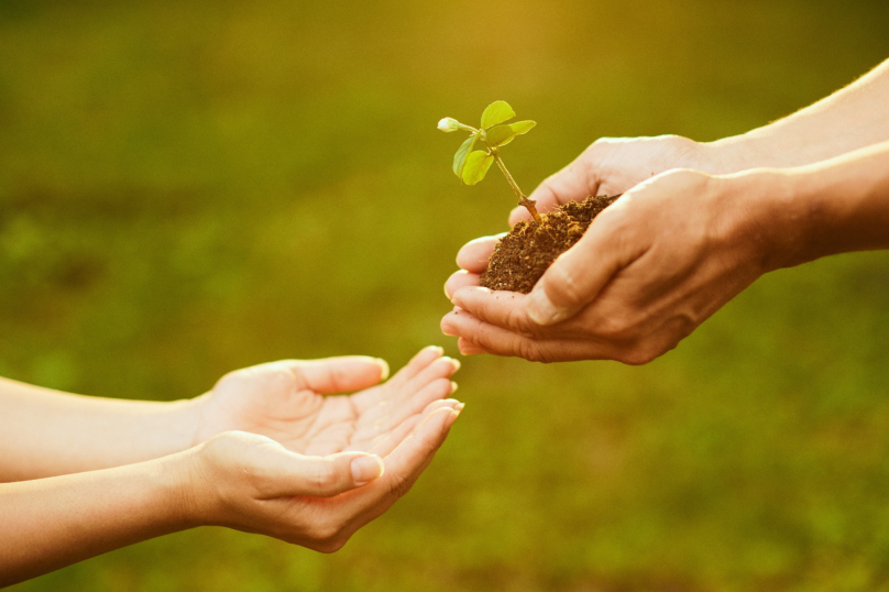 Young hands and older hands exchanging a small plant for planting, symbolising growth and support.