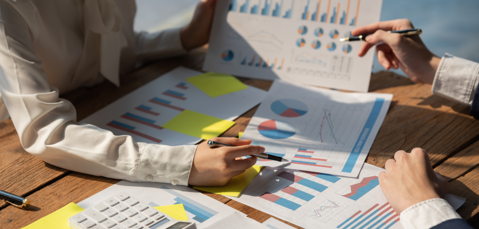 Financial data analysis and business legal consulting for Queensland clients.