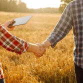 Agistment Agreement