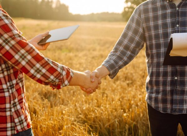 Agistment Agreement Agistment Agreement