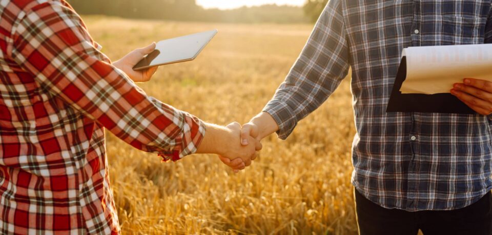 Agistment Agreement