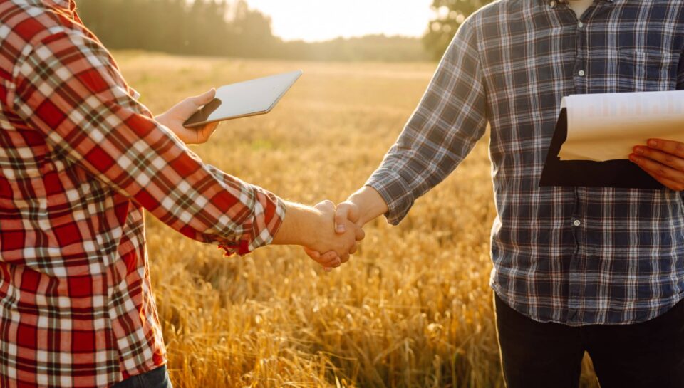 Agistment Agreement
